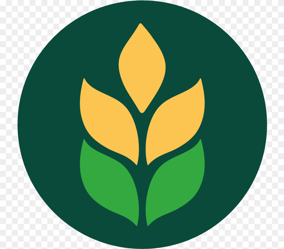 Traktir Quotpechki Lavochkiquot, Leaf, Logo, Plant, Astronomy Free Transparent Png
