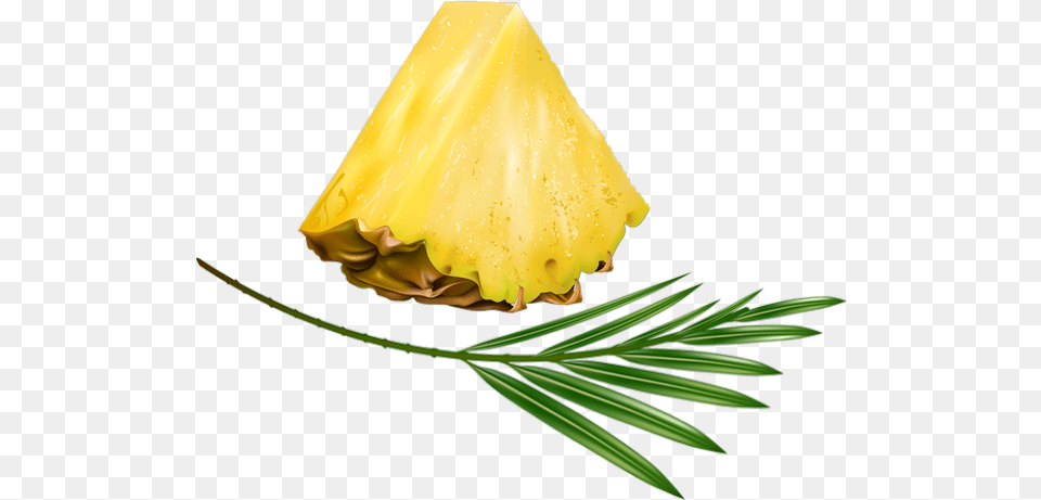 Tranche Du0027ananas Tube Fruit Pineapple Ananas, Food, Plant, Produce, Leaf Free Transparent Png
