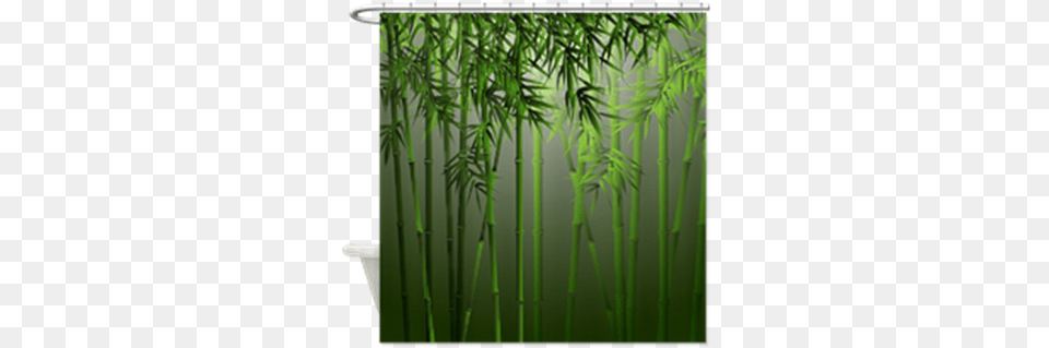 Tranquil Scene Of Cool Shady Bamboo Forest With Stalks Bamboo Forest Shower Curtain, Plant Free Transparent Png