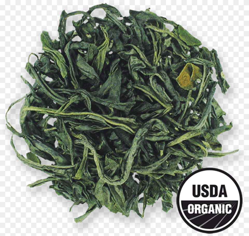 Tranquility Mao Jian Organic Loose Leaf Green Tea From, Plant, Food, Leafy Green Vegetable, Produce Free Png