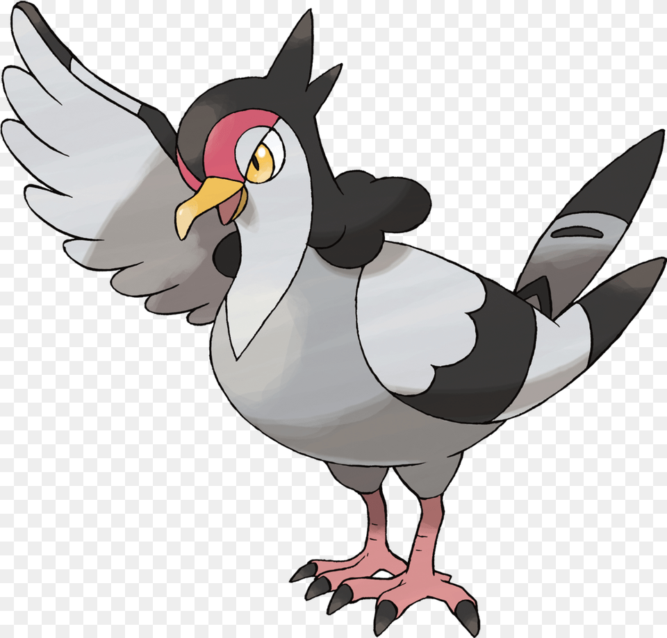 Tranquill Black And White Bird Pokemon, Animal, Person, Beak Free Transparent Png