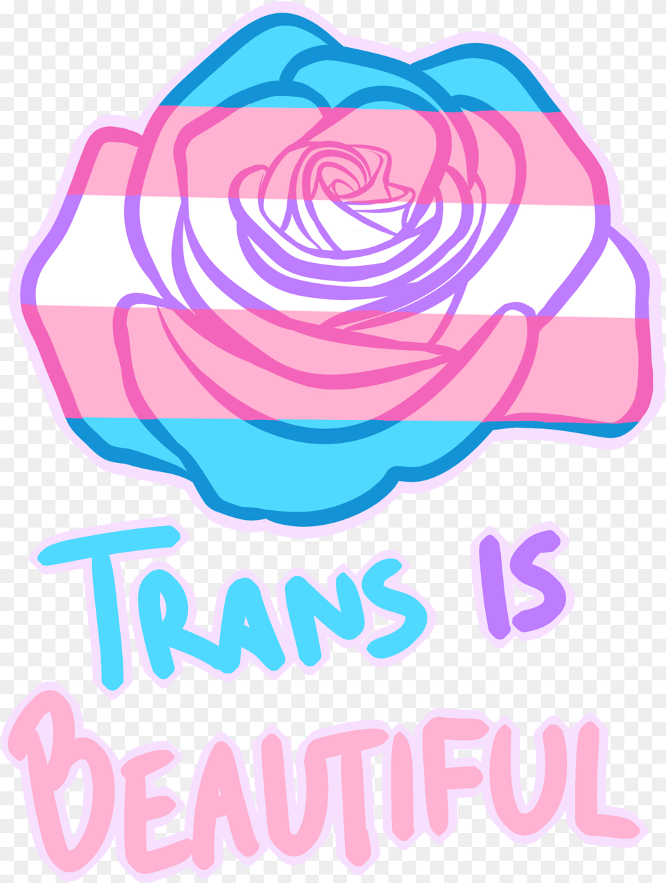 Trans Is Beautiful, Flower, Plant, Rose, Sticker Free Png