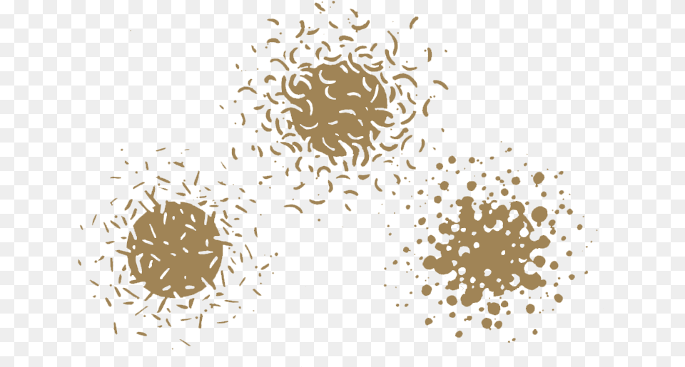 Trans Sandblobs, Fireworks, Texture, Face, Head Free Png