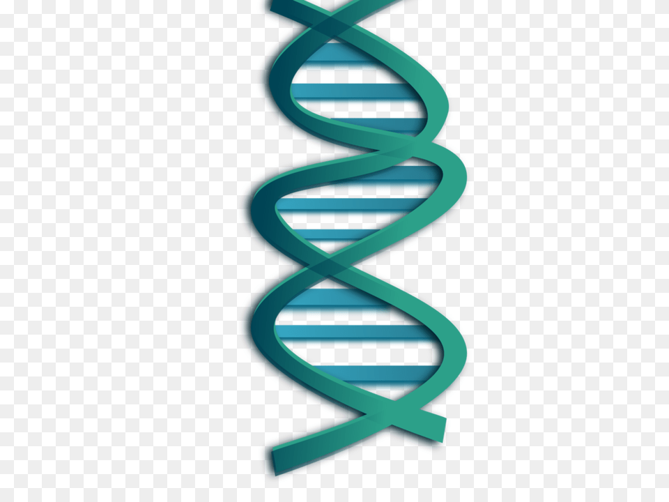 Transcription Of Dna Genetics Nucleic Acid Rna, Spiral, Coil, Pattern Png