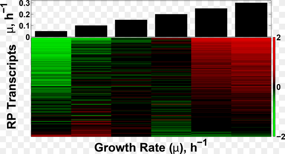 Transcriptional Growth Rate Response Of The Ribosomal Graphic Design Free Transparent Png