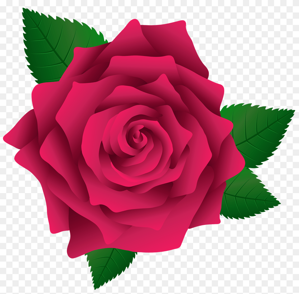 Transfer Desenleri, Flower, Plant, Rose Free Png