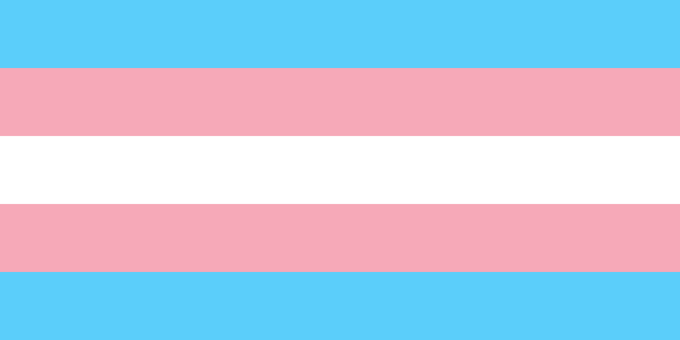Transgender Pride Flag Clipart Png