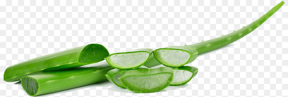Translate To English Transparent Aloe Vera Plant, Blade, Cooking, Knife, Sliced Free Png Download