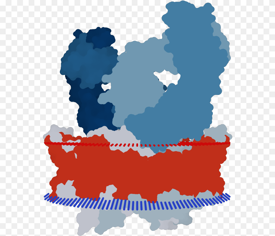 Transmembrane Flat Surface Display Opm Graphic Design, Chart, Plot Free Png