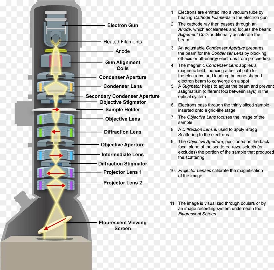 Transmission Electron Microscope Microscope, City Free Transparent Png