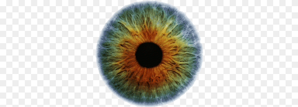 Transparency Discovered By Z O Colorful Iris Eye, Accessories, Pattern, Fractal, Ornament Free Transparent Png