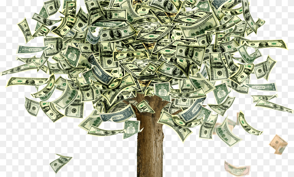 Transparent 100 Dollar Money Tree, Person Free Png