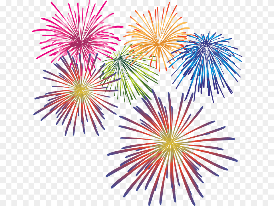 Transparent 4th Of July Fireworks, Plant, Light Free Png Download