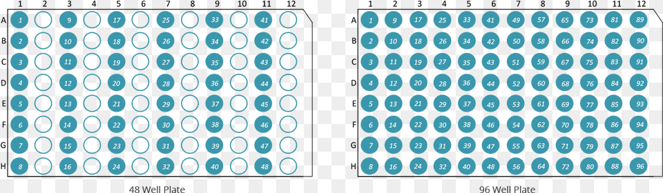 Transparent 96 Well Plate Clipart Hyperspectral Imaging In Pharma, Ct Scan, Pattern, Text Png