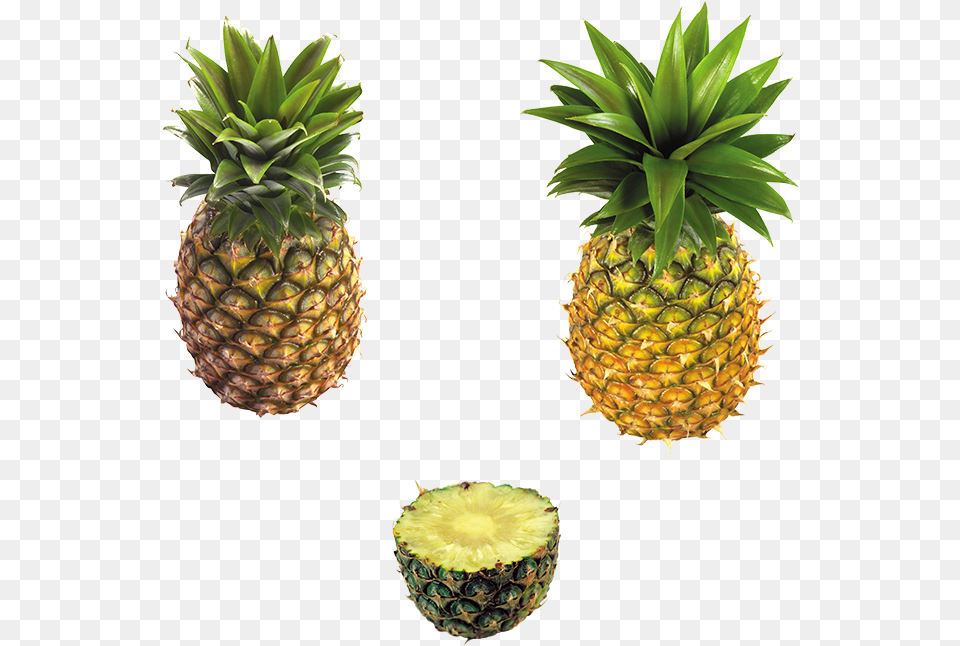 Transparent Abacaxi Ananas, Food, Fruit, Pineapple, Plant Png Image