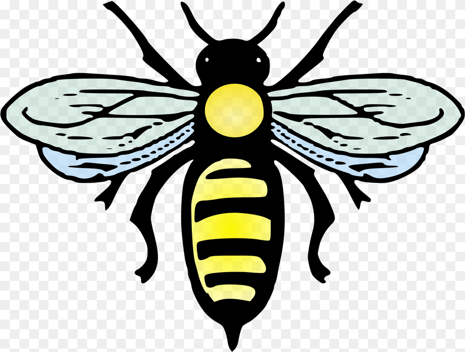 Transparent Abeille Clipart Bee Positive, Animal, Insect, Invertebrate, Wasp Free Png