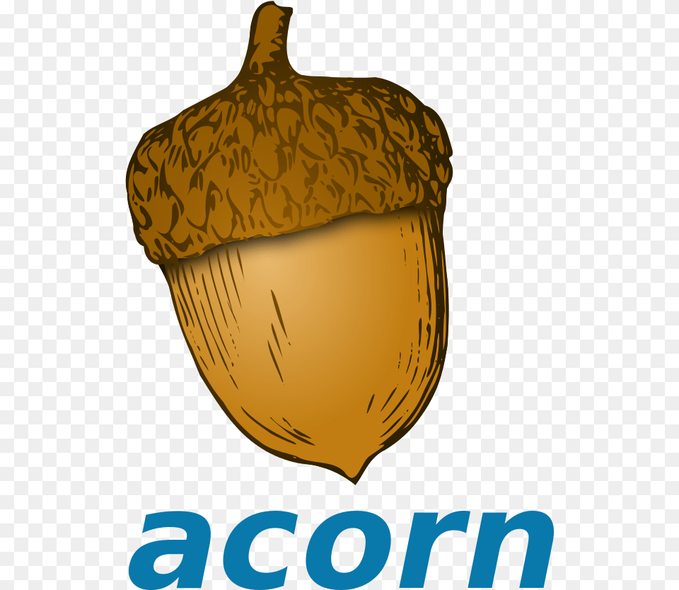 Acorn Clipart Cartoon Acorn, Food, Grain, Nut, Plant Free Transparent Png