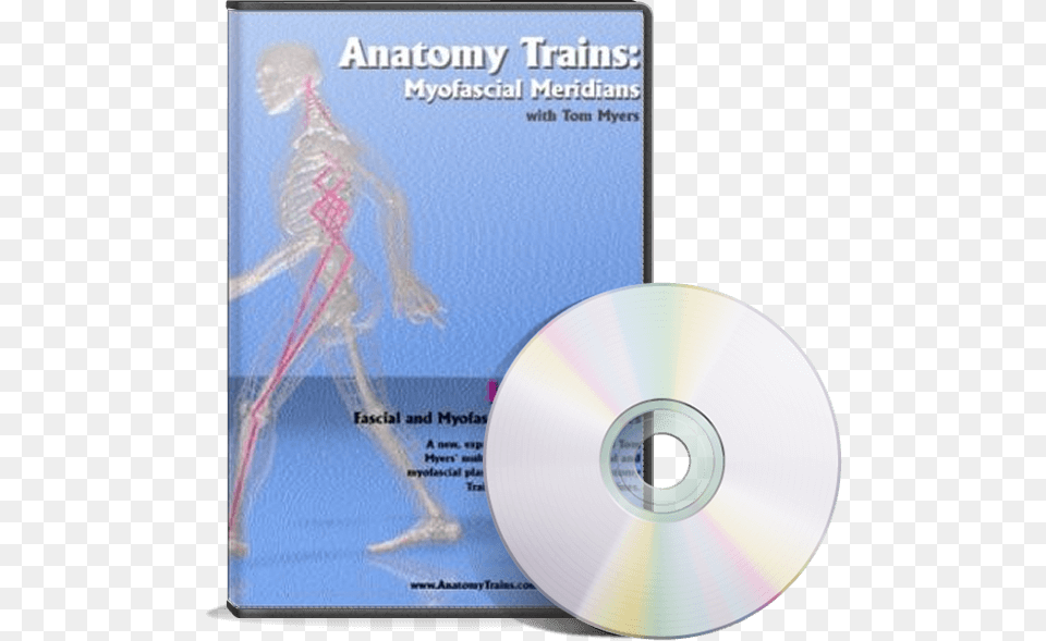 Transparent Action Lines Anatomy Trains Revealed Dvd, Disk, Adult, Bride, Female Png Image