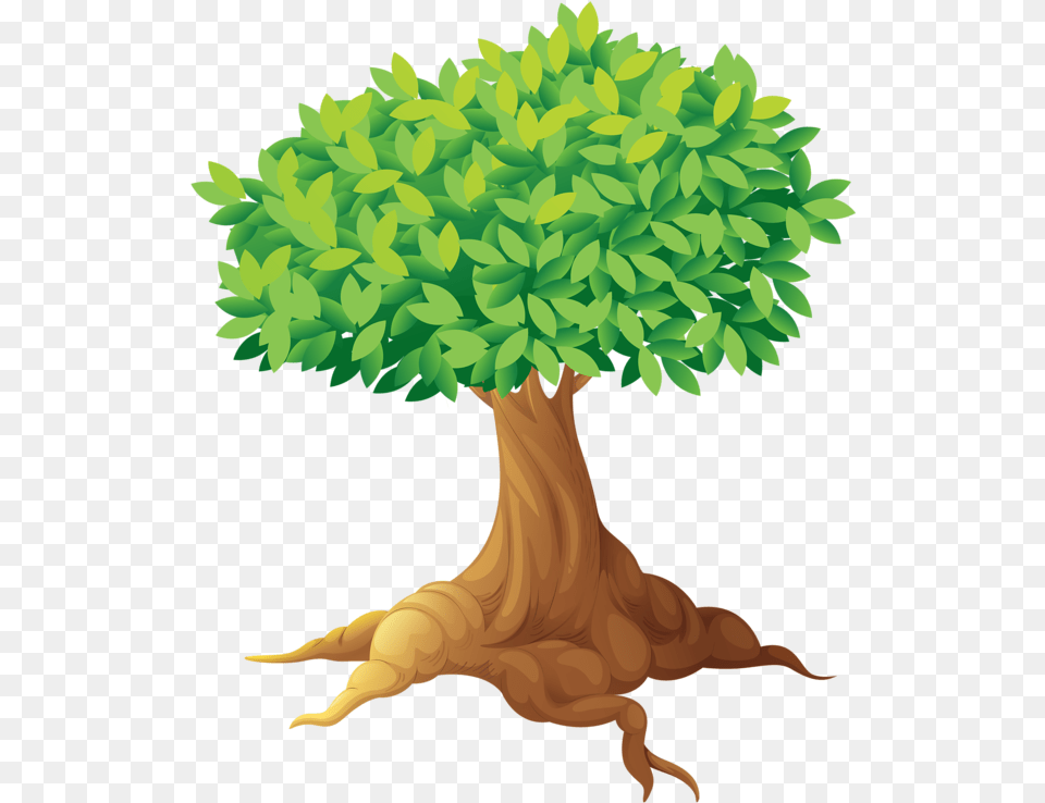 Transparent Adam And Eve Clipart Birds In Tree Clipart, Plant, Potted Plant, Vegetation, Root Png Image