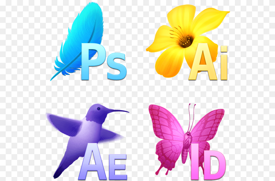 Transparent Adobe Icons, Animal, Bird, Flower, Petal Png Image