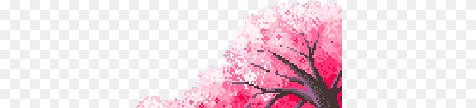 Transparent Aesthetic Cute Kawaii Mochi Aesthetic Translucent Gif, Carnation, Flower, Plant, Cherry Blossom Png Image