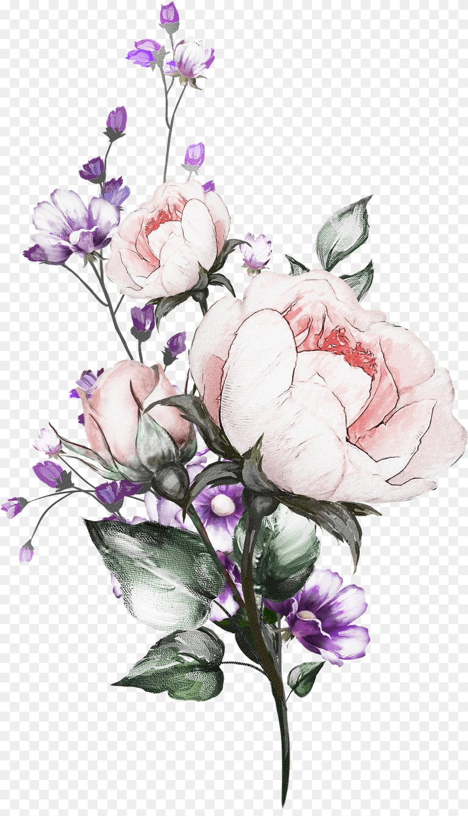 Transparent Aesthetic Flower Drawing Free Png Download
