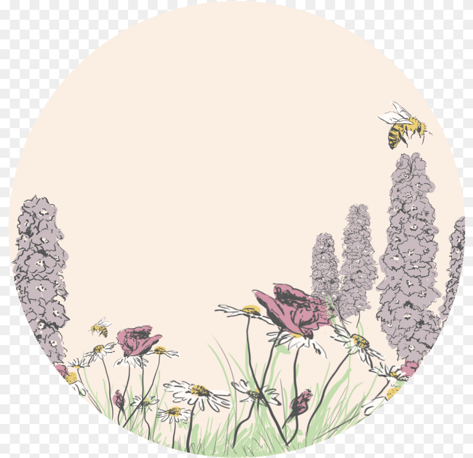 Transparent Aesthetic Flowers Circle, Photography, Animal, Invertebrate, Insect Png