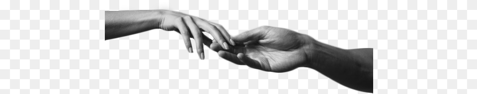 Transparent Aesthetic Source Aesthetic Hand, Body Part, Person, Wrist, Finger Png