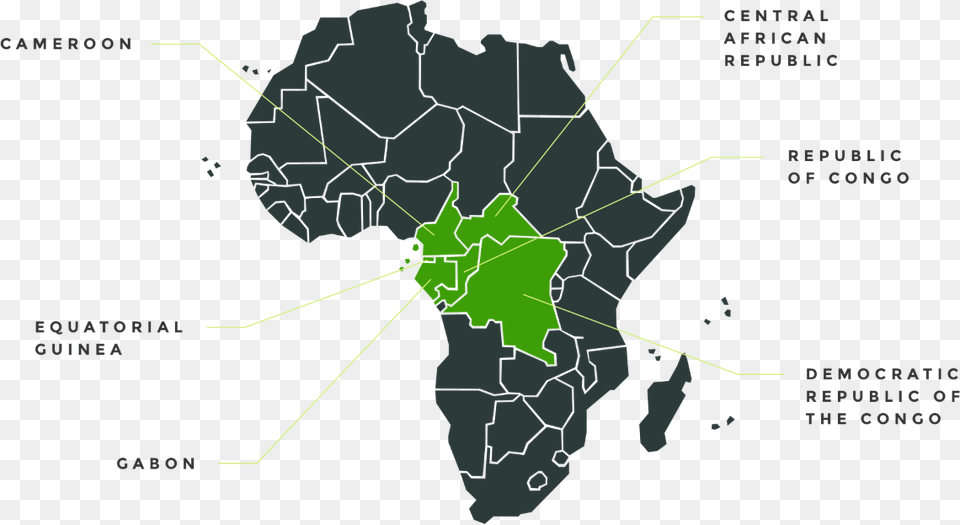 Transparent Africa Map Africa Nigeria Map Vector, Chart, Plot, Vegetation, Tree Png