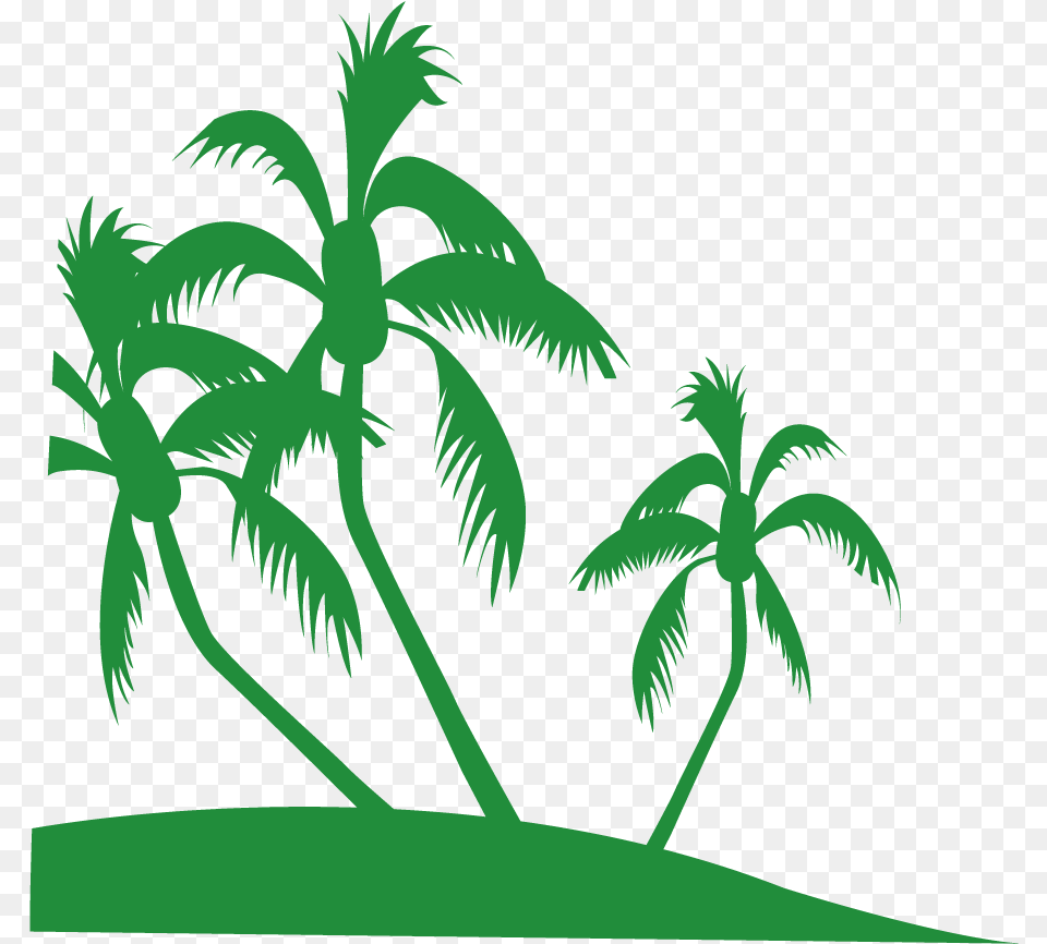 Transparent Africa Tree Vector Graphics, Green, Tropical, Plant, Palm Tree Free Png Download