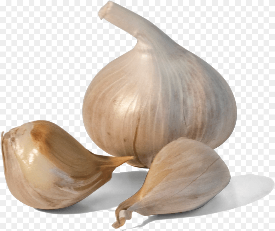 Transparent Ajo Garlic On Transparent Background, Food, Produce, Plant, Vegetable Png Image