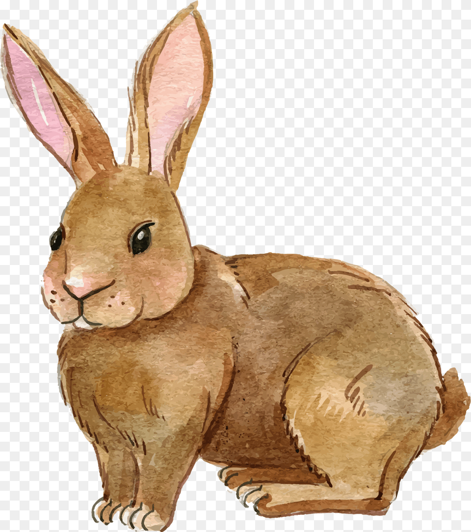 Transparent Alice In Wonderland Rabbit Rabbit Clipart Transparent, Animal, Hare, Mammal, Rodent Free Png
