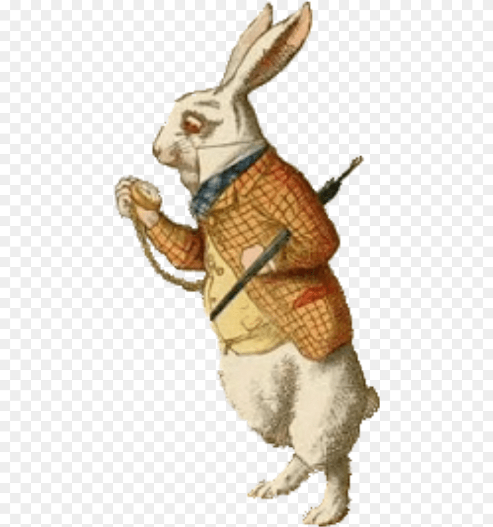 Transparent Alice In Wonderland Rabbit Rabbit With Pocket Watch, Animal, Reptile, Snake, Mammal Png