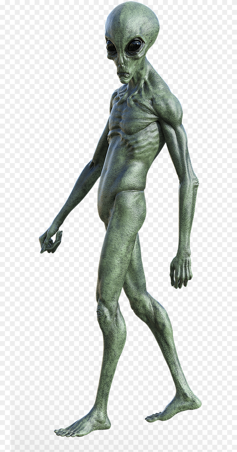Transparent Alien Alien, Adult, Male, Man, Person Png Image