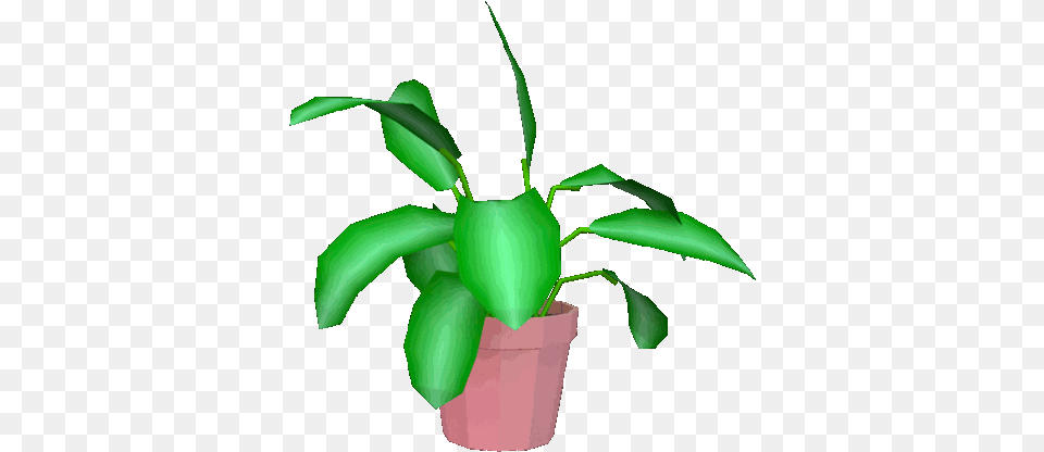Alien Tumblr Green Skull Background Lowgif Plants Gif Background, Leaf, Plant, Potted Plant, Flower Free Transparent Png