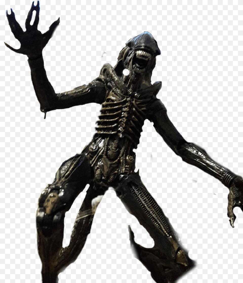 Transparent Alien Xenomorph Xenomorph, Adult, Male, Man, Person Png