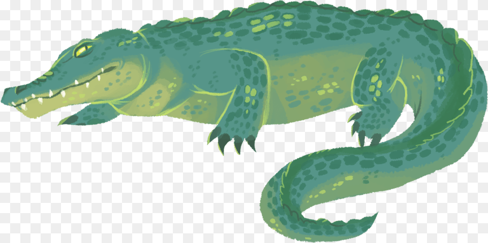 Transparent Aligator Transparent Crocodile, Animal, Reptile, Sea Life, Turtle Png