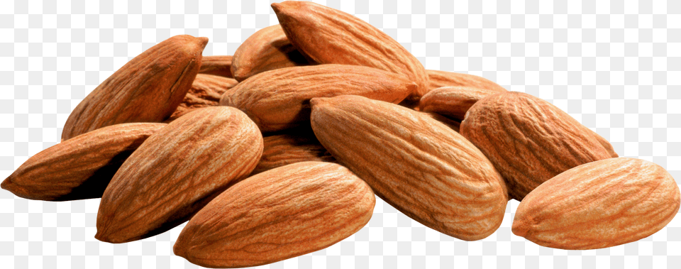 Almond Free Transparent Png