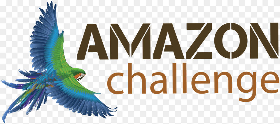 Transparent Amazon Logo Transparent Black Mamba, Animal, Bird, Parrot, Macaw Png