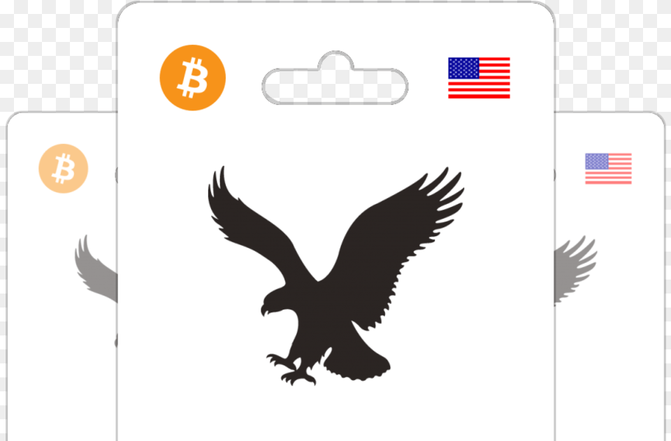 Transparent American Eagle American Eagle Outfitters Vector, Animal, Bird Png