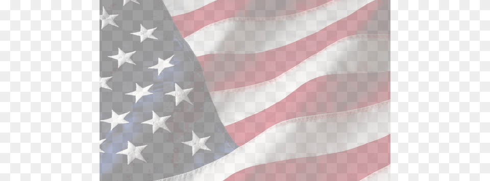 Transparent American Flag Harambe Stands For The National Anthem, American Flag, Person Png Image