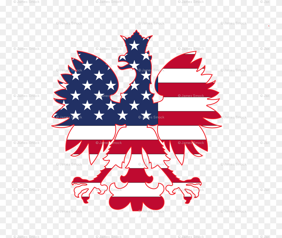 Transparent American Flag Polish Eagle American Flag, American Flag Png Image