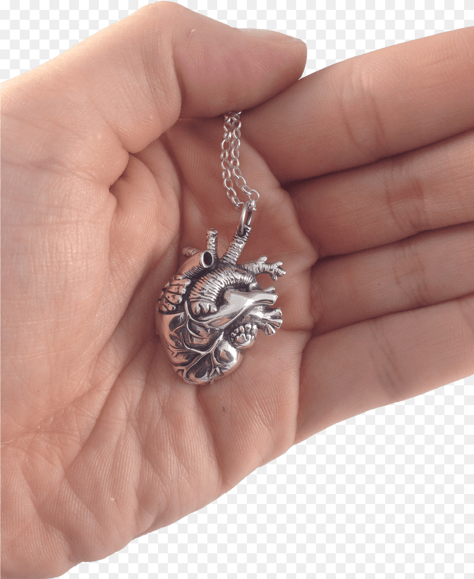 Transparent Anatomical Heart Locket, Accessories, Pendant, Silver, Jewelry Png