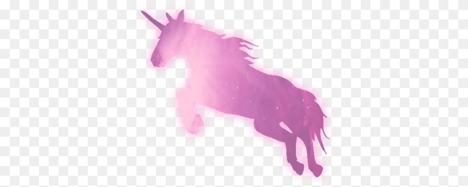 Transparent And Unicorn Image Unicorn Silhouette, Purple, Animal, Horse, Mammal Free Png Download