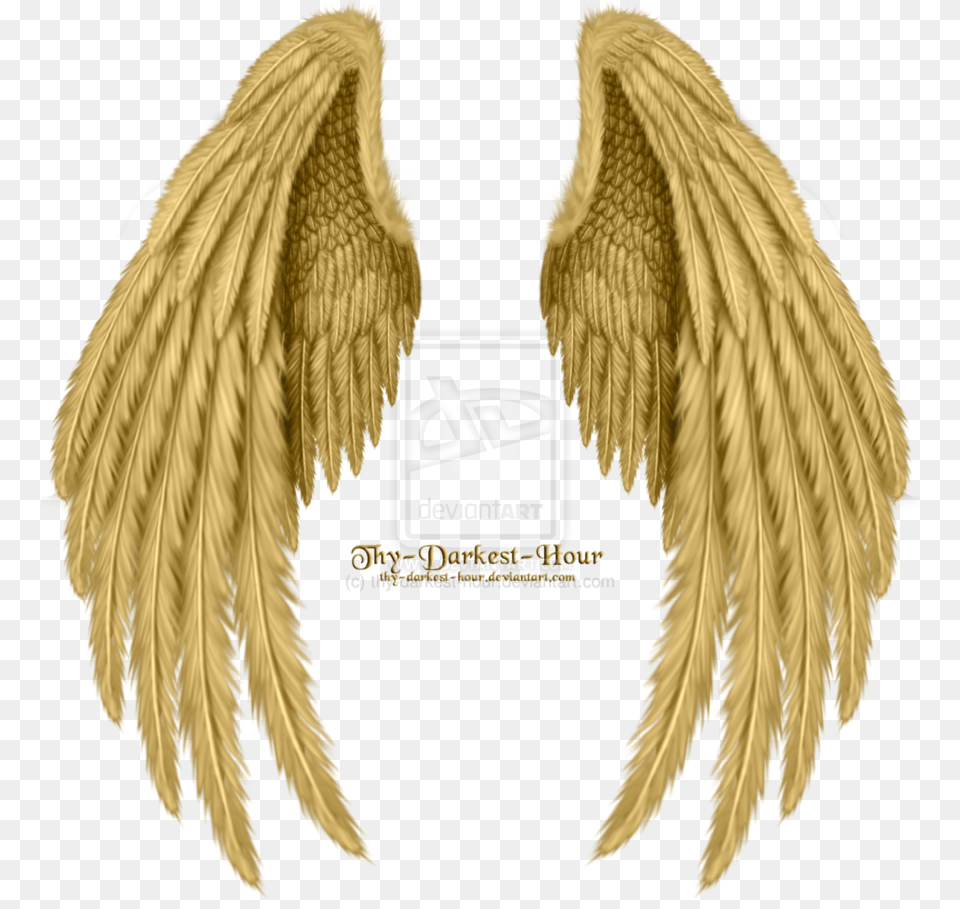 Angel Wings Realistic Angel Wings Drawing, Animal, Bird, Electronics, Hardware Free Transparent Png