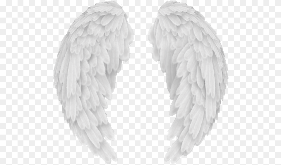 Transparent Angel Wings Vector Transparent Background Angel Wings, Animal, Bird, Vulture Free Png Download