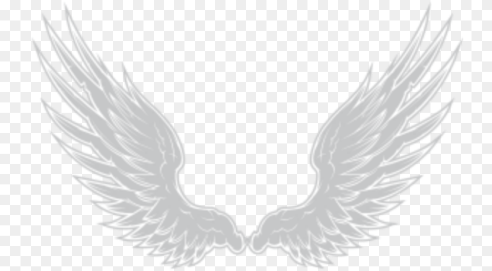 Angels Wings Imagen De Alas, Emblem, Symbol, Animal, Bird Free Transparent Png