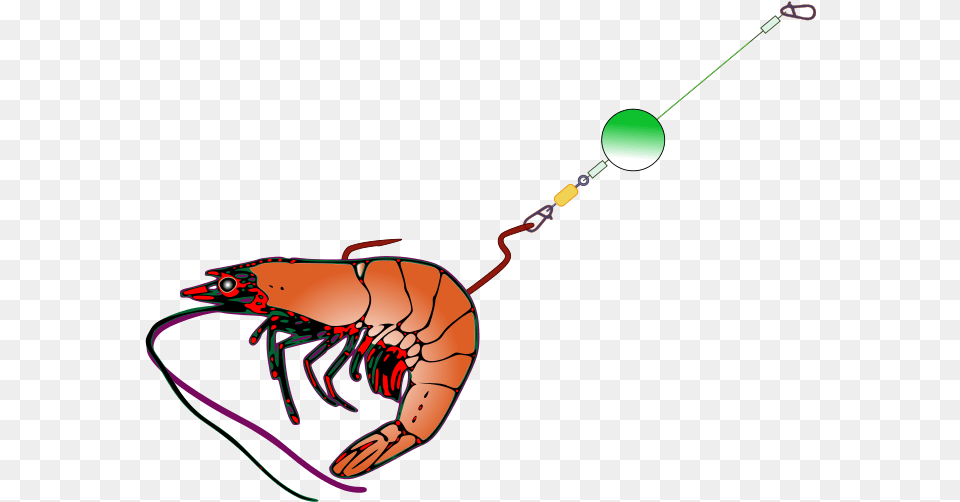 Transparent Angler Clipart Fishing Pole With Bait Clipart, Animal, Food, Invertebrate, Sea Life Png
