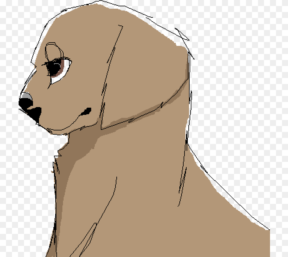 Transparent Angry Dog, Person, Body Part, Face, Head Free Png