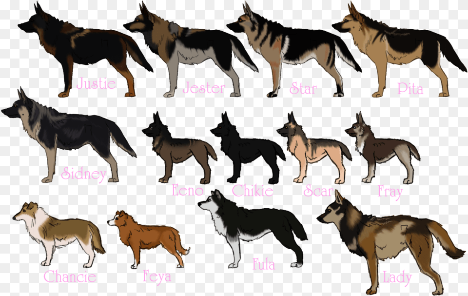 Transparent Angry Dog Very Angry German Shepherd, Animal, Mammal, Wolf, Canine Free Png